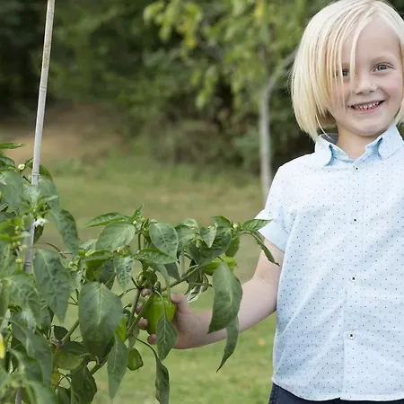 Bauernhof Zoller Farm stay *