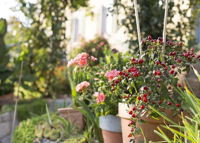 Bauernhof Zoller Фермерский дом Hartmannsdorf